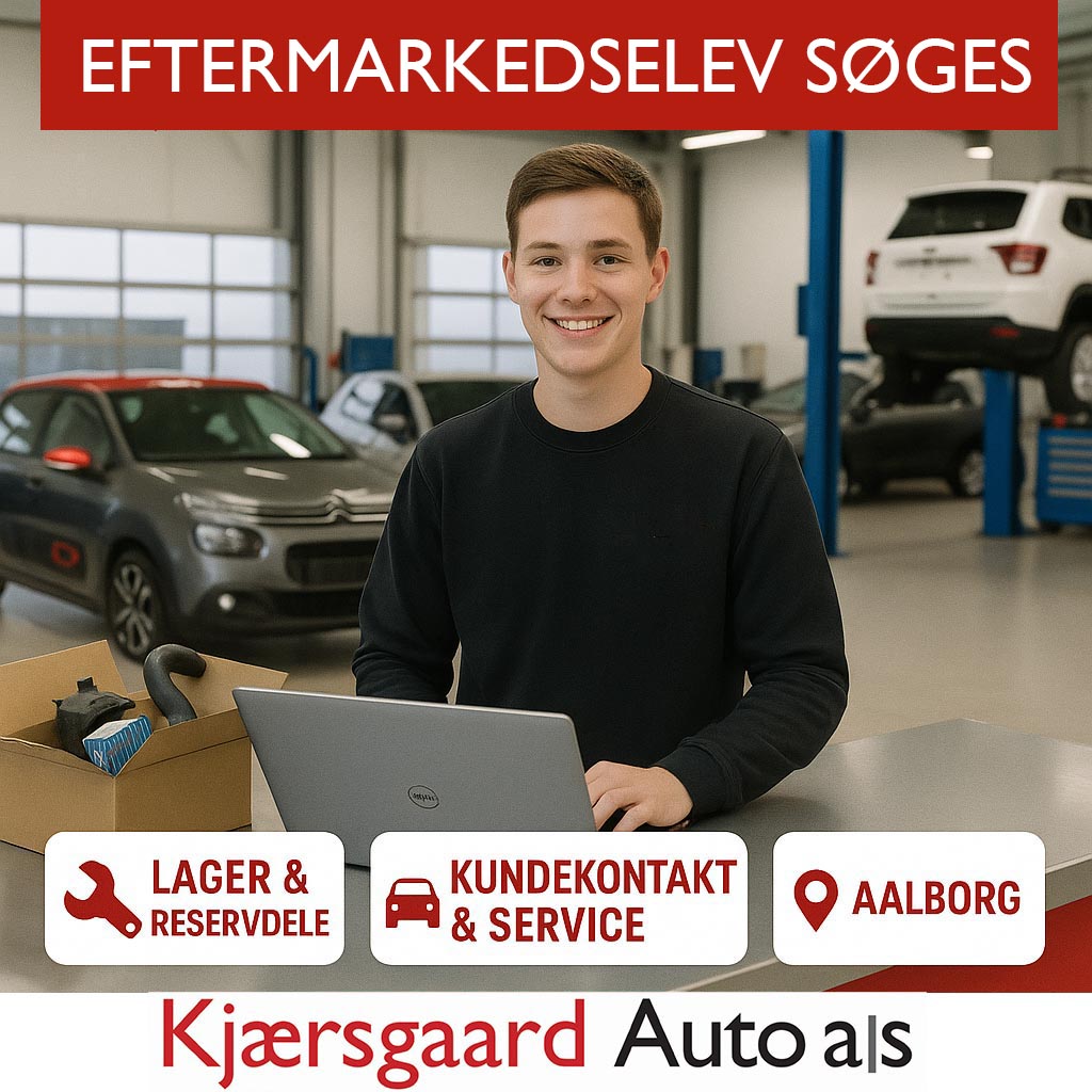 Eftermarkedselev_2025 kopier