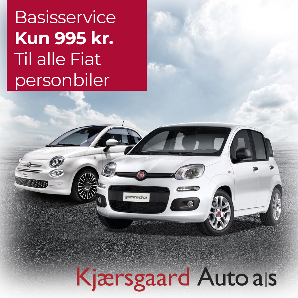 basiservice_ny
