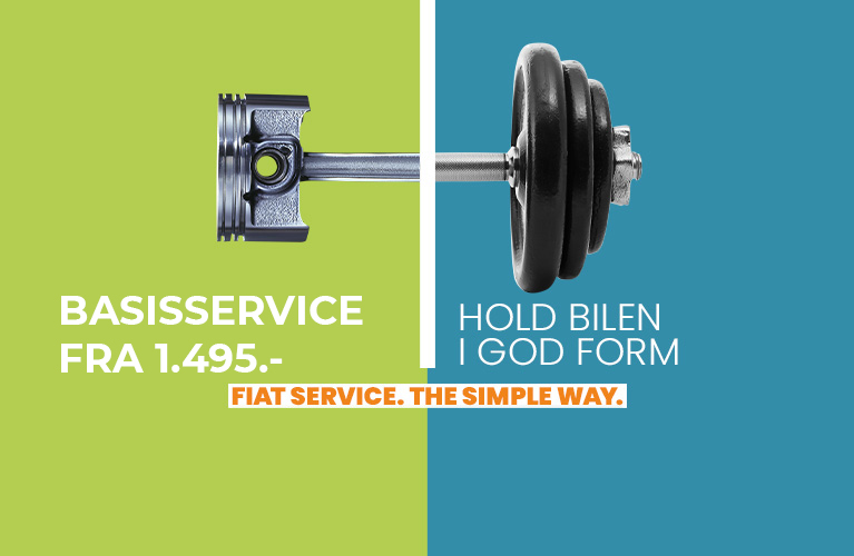 fiatbasisservice_STOR